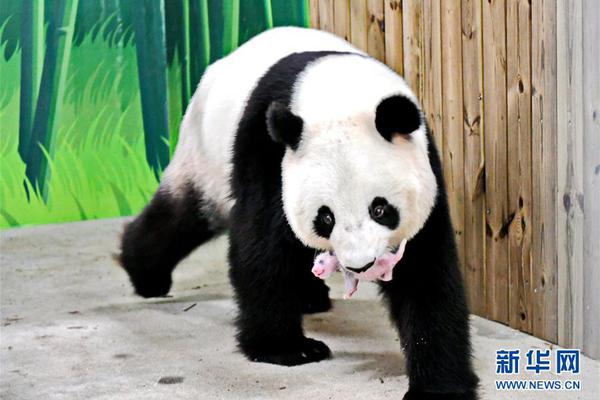 排场壮观！泰国举行国王加冕仪式彩排 现场气氛紧张隆重_9929直连回国