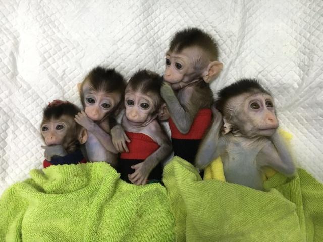 沃尔沃中国公开赛历届回顾 2005-2018冠军时刻_成都云服务器