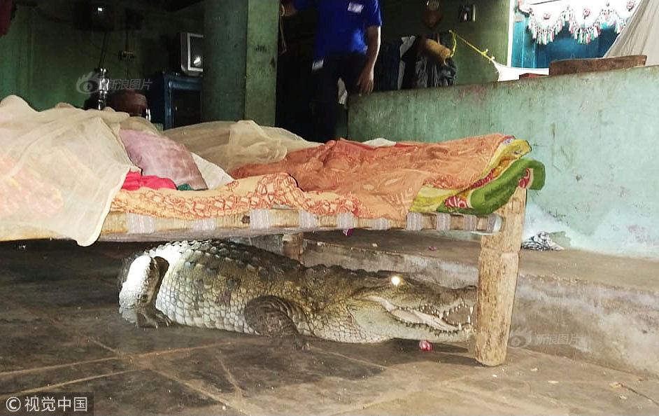董璇现身皮肤细腻光滑_LXC挂机宝