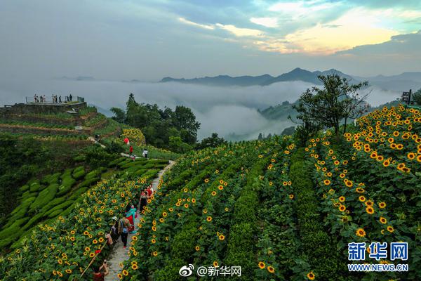 我体验了一把自由职业_9929高防服务器