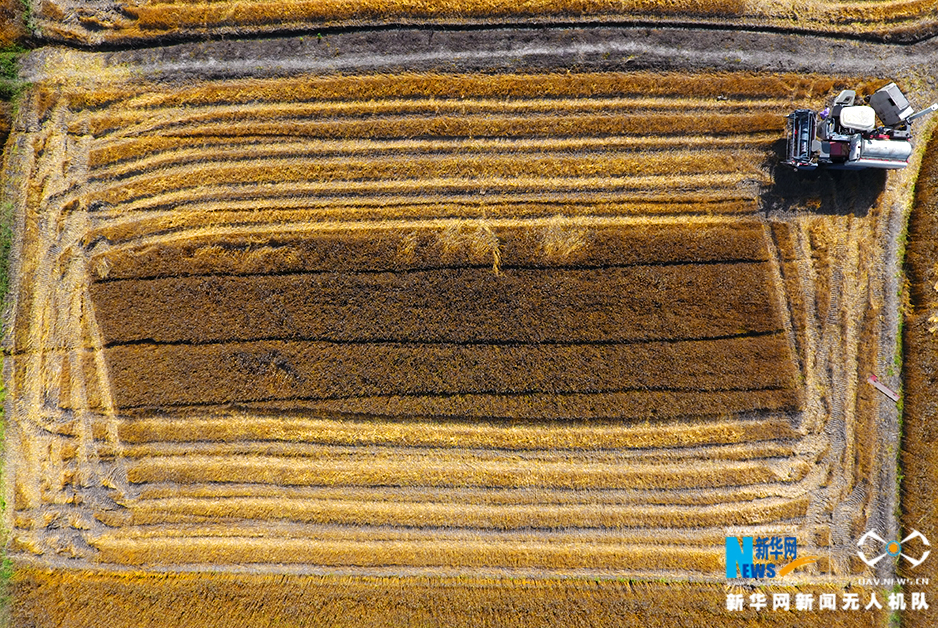王丽坤一袭白色套装大秀美腿现身某活动_CN2服务器NVMe