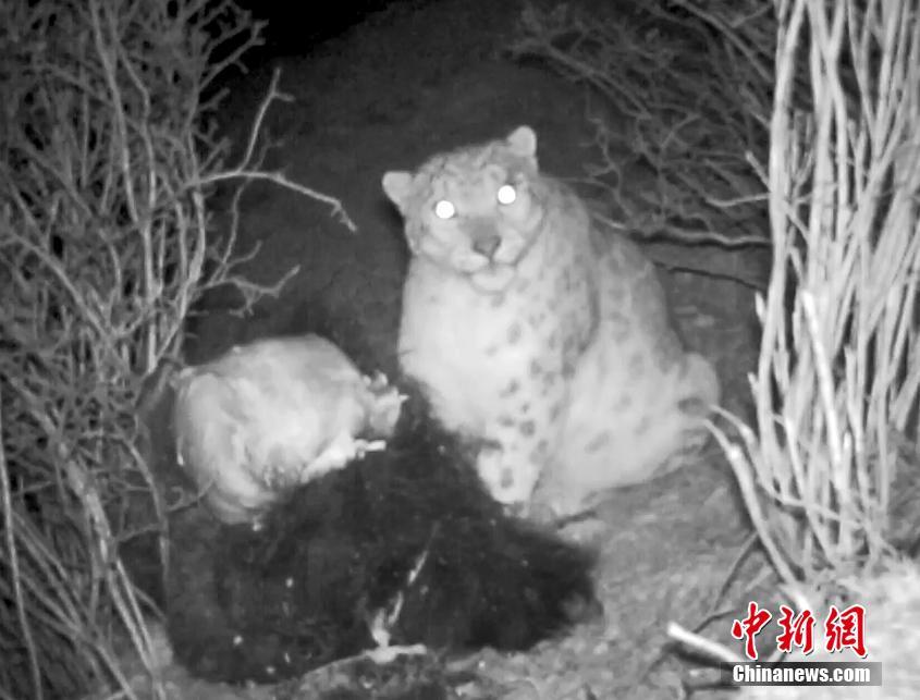 流氓性格的刘邦何以运气超好_联通AS9929
