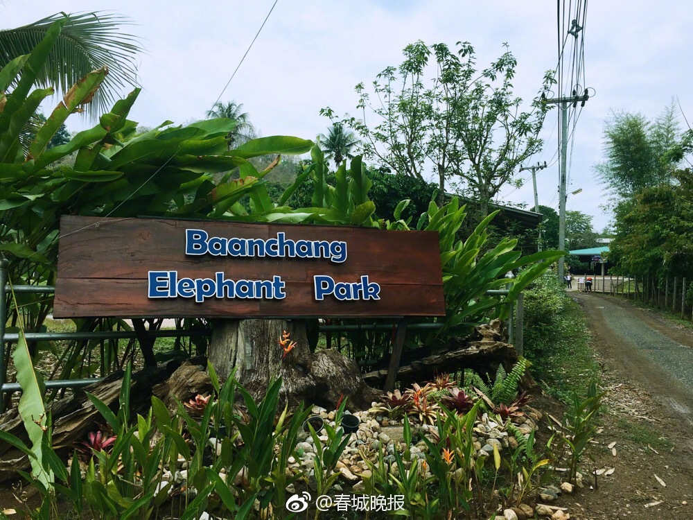 小妙招 帮你搞懂地砖种类_政务云服务器