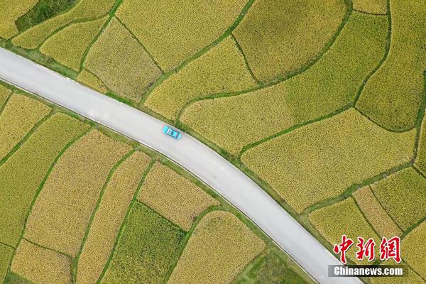 陈意涵：自律才使人别有风韵_9929线路怎么样