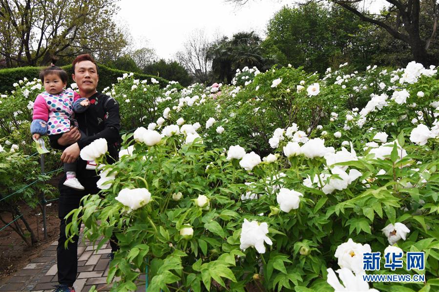世上最能生的女人 生四十四个孩子遭抛弃_移动云服务器