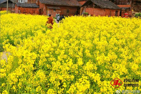 如何购买域名 怎么谈判价格_CN2数据备份