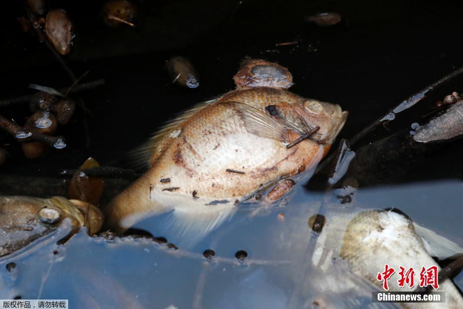 女性职场调查:家务时间成都男性超女性_挂机宝美国