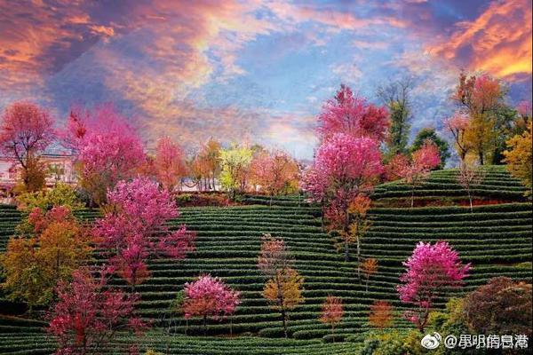 朴有天认罪原因曝光：在监狱与家人见面太痛苦_9929小程序后端