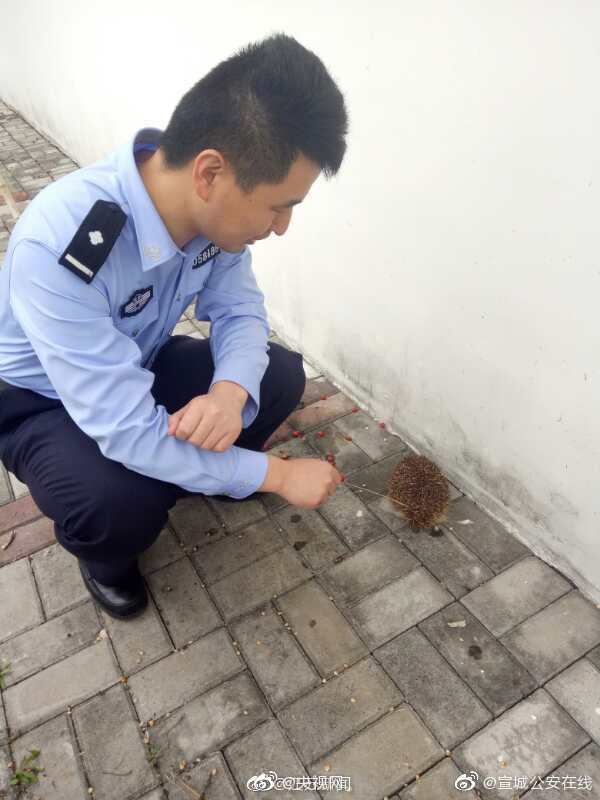 健身达人必备：运动损伤恢复神器，你的私人按摩师_云电脑入门指南