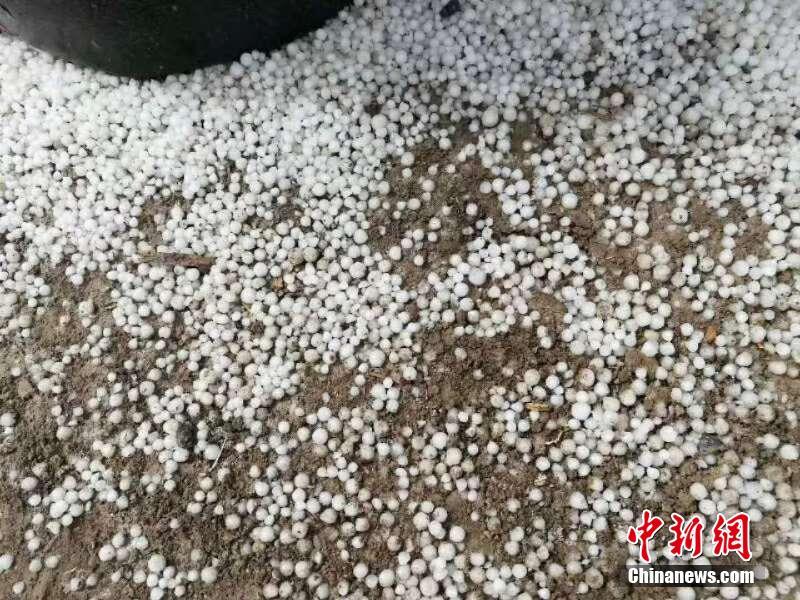 国产“特斯拉”亮相，3.4秒破百，一看定价，车友：来一沓