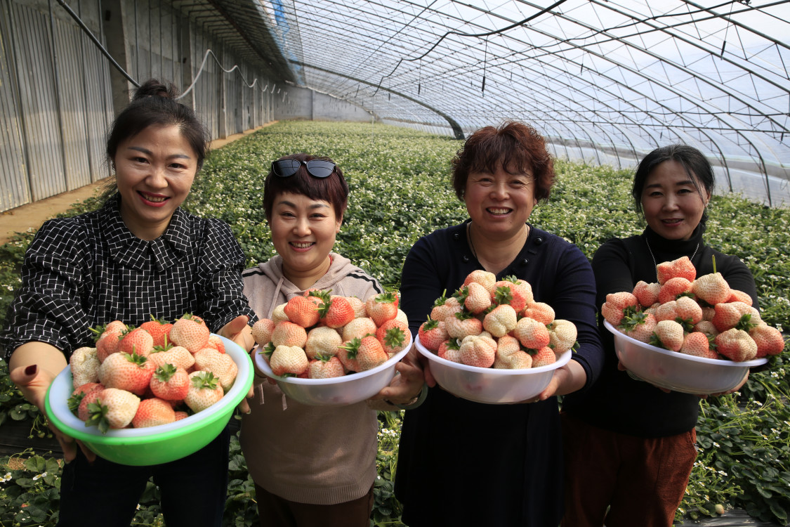 副部级官员被指严重破坏任职地政治生态，曾主政鄂尔多斯包头_3D建模云电脑