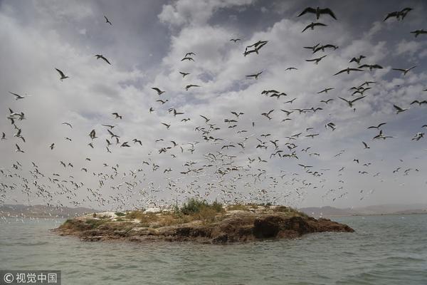财经小百科|为什么大多数人都喜欢一条路走到黑_武汉云服务器