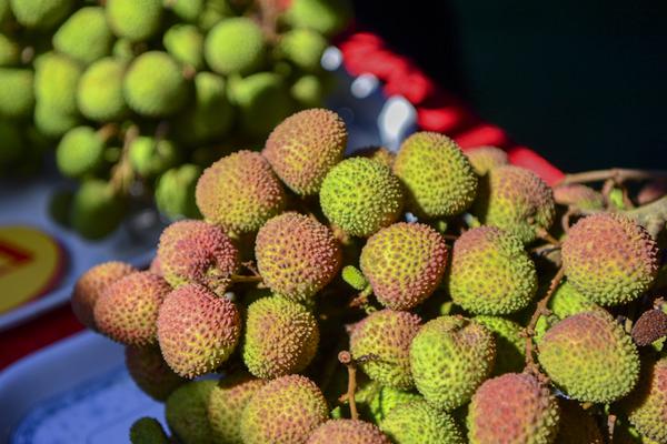 北京严查无牌电动单车 违规可罚千元_香港云服务器公司