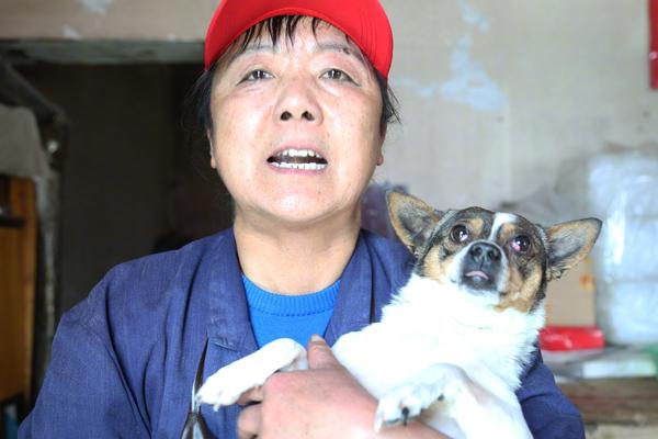 一艘4万吨新巨舰首次与国产航母同框了！她来大连准备干什么？_挂机宝Windows