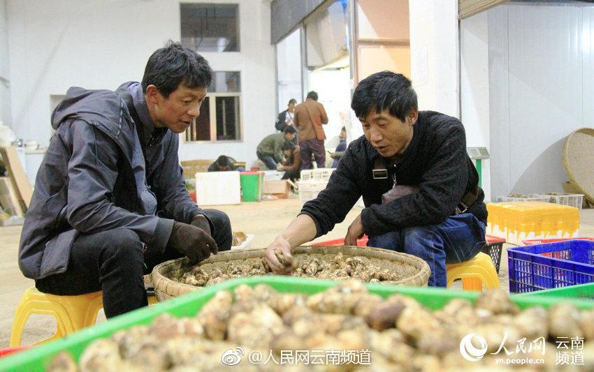 报告:中国境外房产投资创4年新低 美国市场现净流出_GPU实例