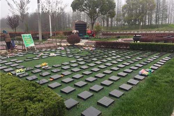 巴黎一奔驰车冲进塞纳河 致母子二人死亡_9929稳定运营商