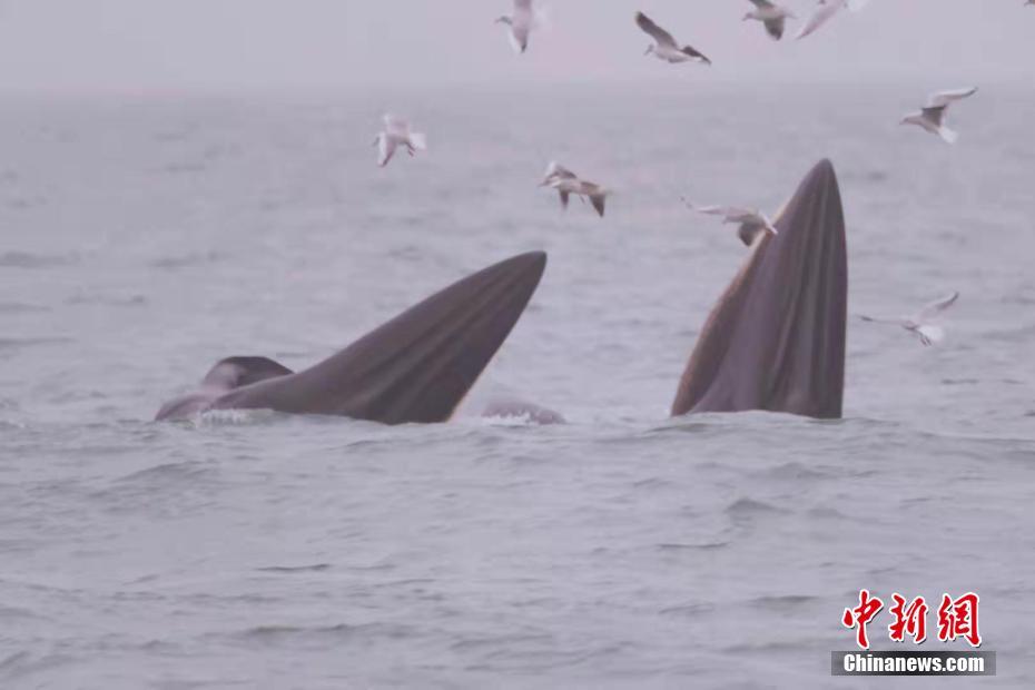 新华网调查：数据绘制当代大学生精神图谱_9929容器部署
