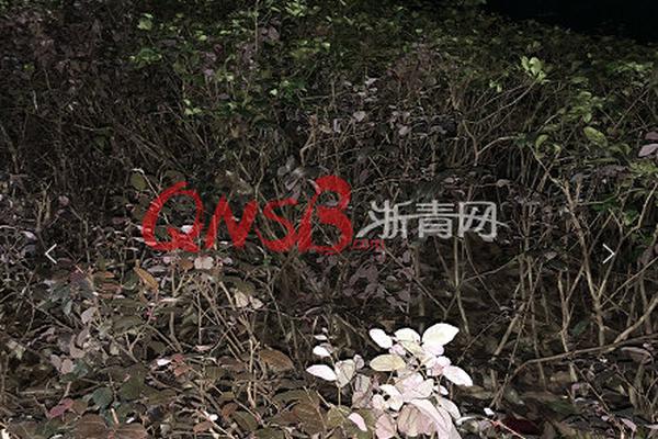 NBA季后赛-杜兰特35分勇士胜火箭_CN2 DevOps