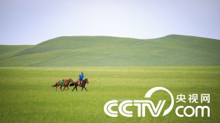 惠若琪庆结婚周年晒夫妻合照_CN2服务器丢包率