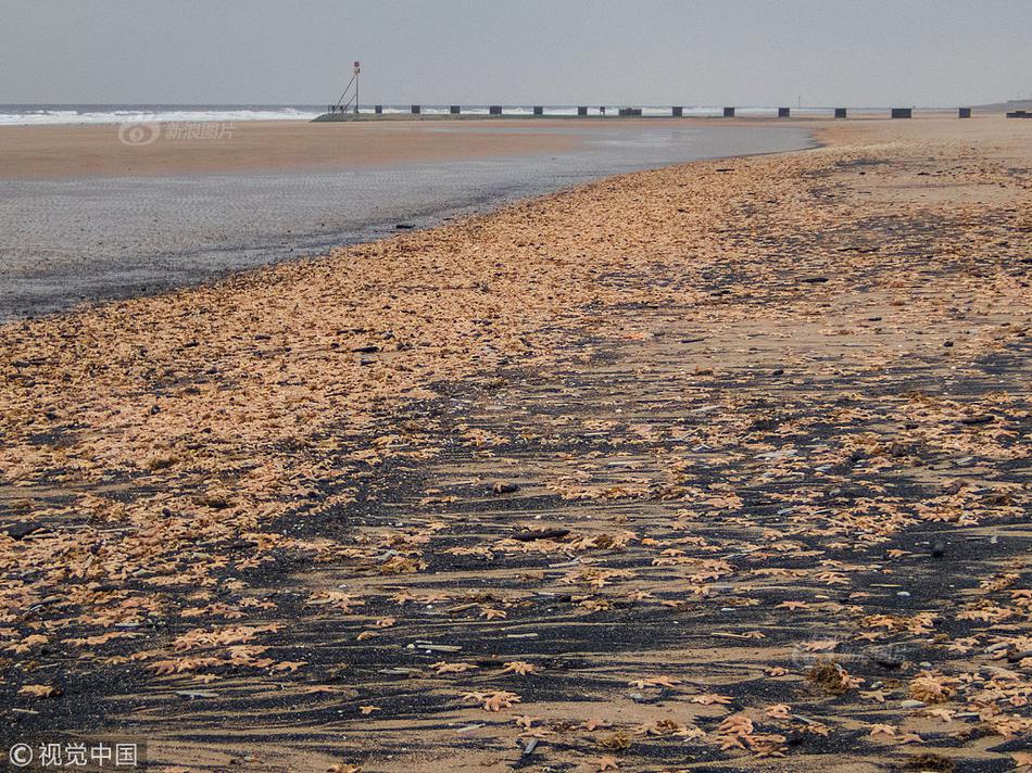 无力抚养孩子的人,别再生了_南京云服务器