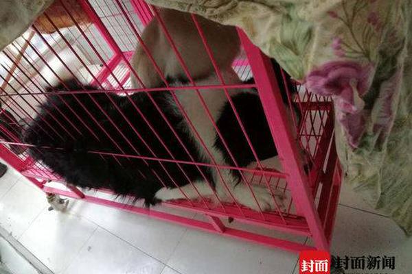 ✎历史边角料：中国文官武将是何时分开的？_云服务器新用户优惠