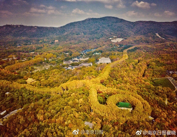 续航超320km 奥迪e-tron Sportback假想图曝光_便宜挂机宝