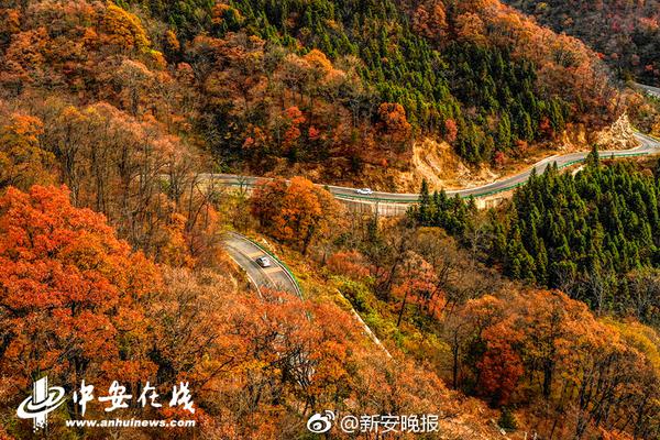 日本德仁天皇即位 承诺完成作为"国家象征"的责任