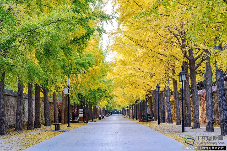 比尔-盖茨妻子自曝私生活:曾避孕 住豪宅内心不安_CN2 GT线路