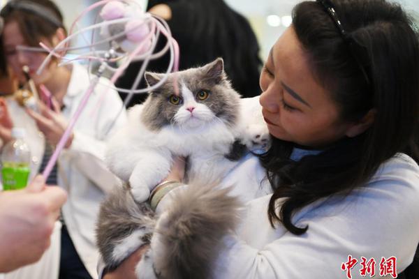 为大场面而生!季后赛才见卡神 新版皮蓬却成猛龙乔丹_香港CN2 GIA