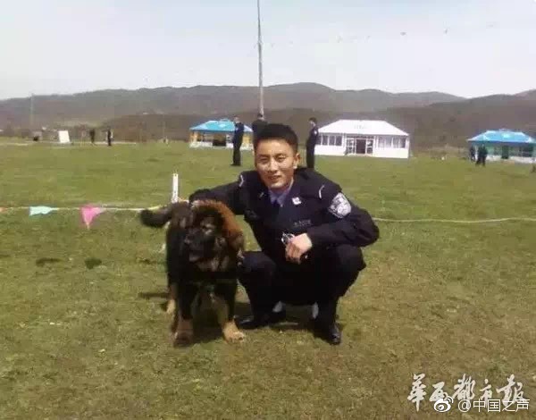 《龙珠超：布罗利》定档5月24日 鸟山明亲自操刀_挂机宝CMIN2