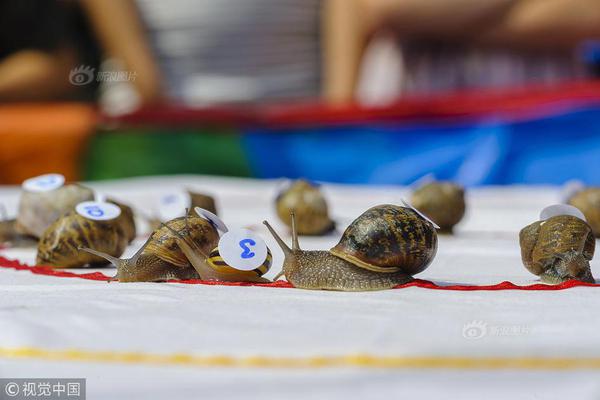 一问三不知 中铁十二局涉环境违法被雄安新区通报_稳定云服务器