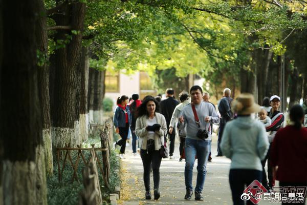 谷歌一日最多蒸发780亿美元市值 相当于一个高盛_西安云服务器