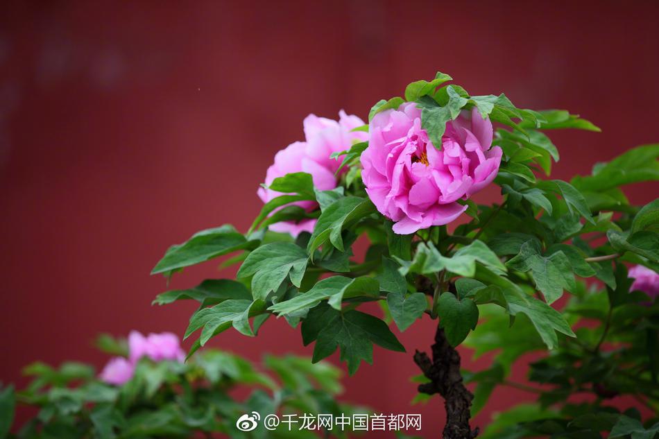 买房可打5折!深漂:依然买不起_9929值得买吗