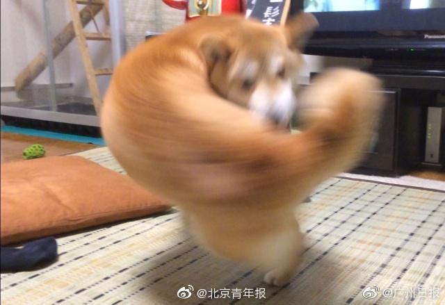 仲为国:从马云回应996看企业发展挑战_挂机宝带防御