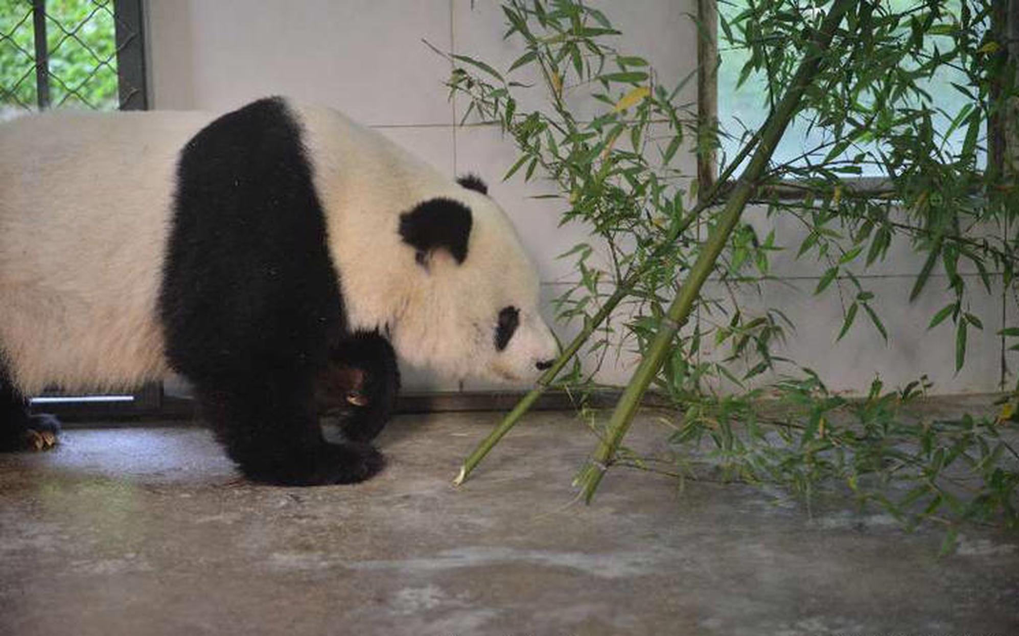 乐高迷你剧场乐高积木新玩法!一起“趣”拼畅游乐高玩具海洋_云服务器迁移