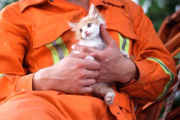 日本大学宿舍400名男女混住 环境恶劣学生不肯搬_9929金融交易