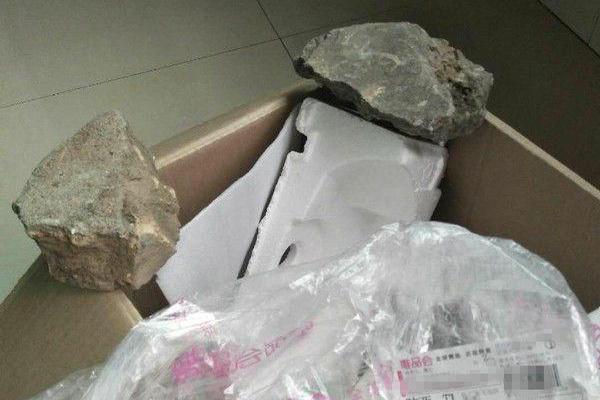 低龄留学早留鸟如何起飞_企业邮箱