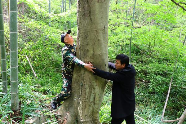 声音不好听真的毁形象_云电脑文件共享