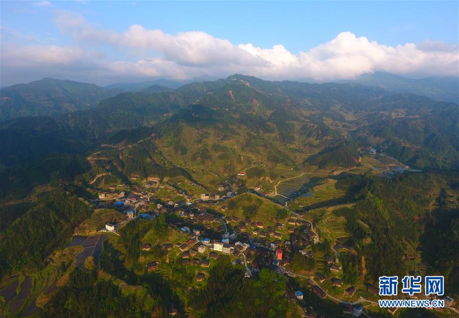 屏幕使用时间app遭大规模下架 苹果：侵犯隐私