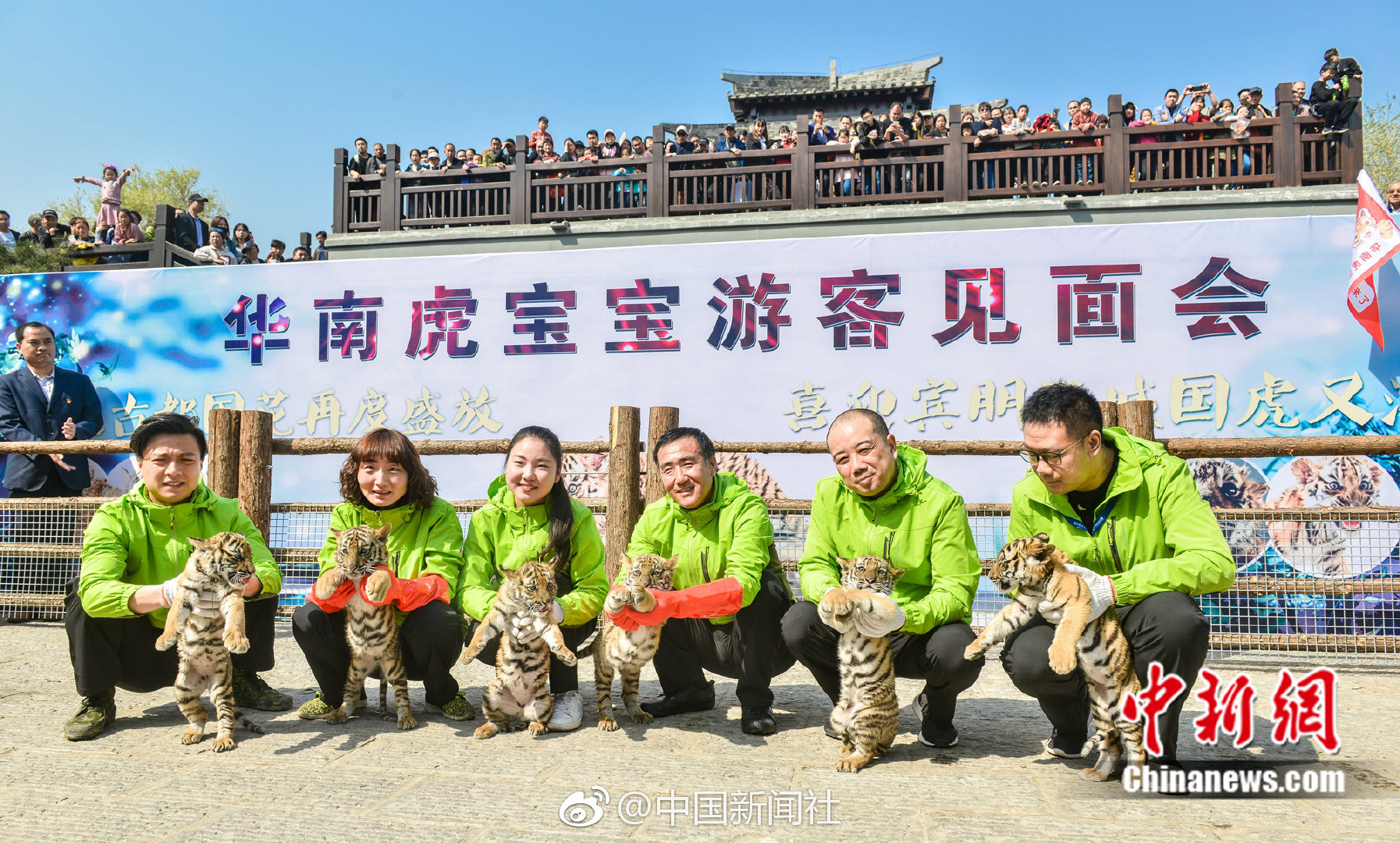 如何把购买的域名绑定到web_云电脑价格