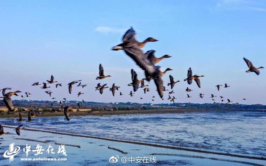 曝火箭申诉涉嫌违规!可能被罚款_香港云服务器公司