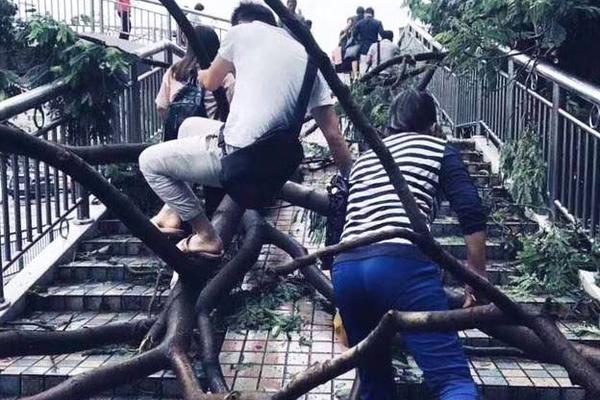 帮帮龙出动之恐龙探险队第二季VIP 全26集