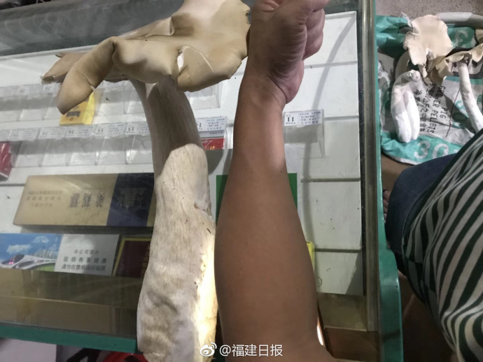 亚马逊中国官网无法打开：出现“意外错误”_虚拟机挂机宝