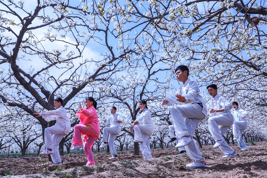 租房贷:资金供给一旦断裂 链条上各环节无一幸免