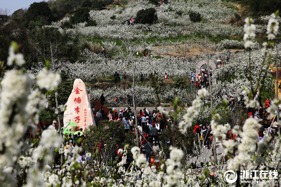 菩提为何狠心将孙悟空赶出师门？生死簿上有答案！_商标注册