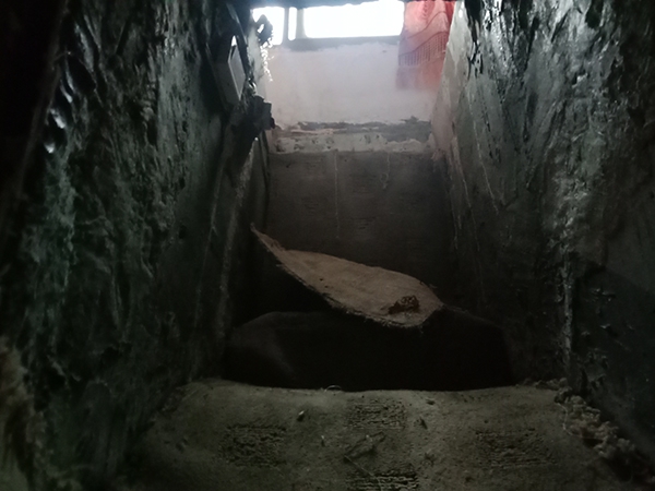 日本4只松鼠争先出巢 脑袋填满树洞惹人喜爱_南京云服务器