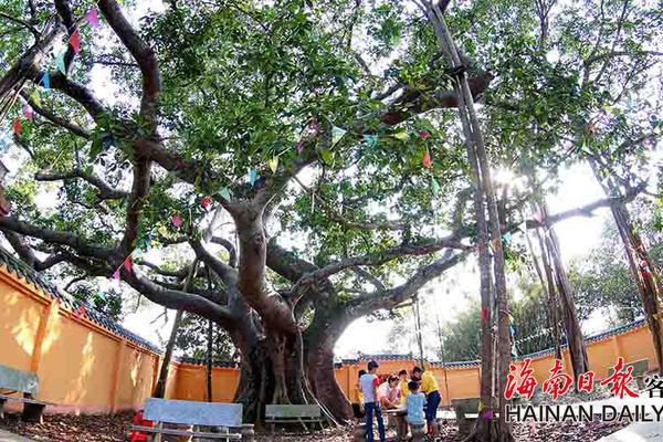 沈洋:火勇实力今非昔比 未来24小时对裁判至关重要_云服务器Windows Server
