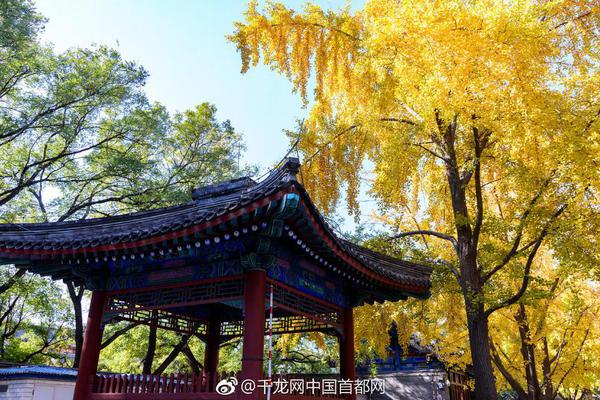 吃完70家汕头小店 我们才敢掏出这份深度指南_挂机宝带防御