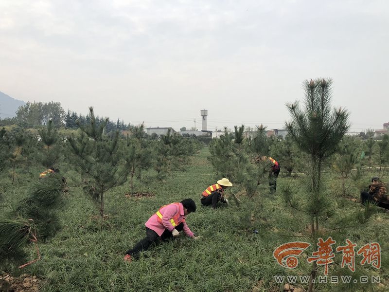 住宅工程质量保险来了_云手机多开