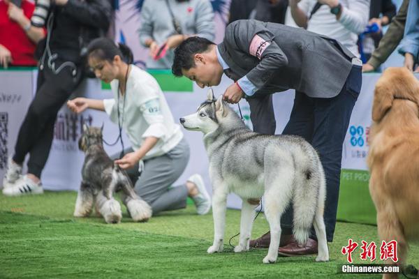 网页域名申请_云服务器免备案